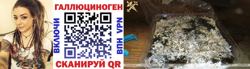 Галлюциногенные грибы мухоморы  Купить  Весьегонск 
